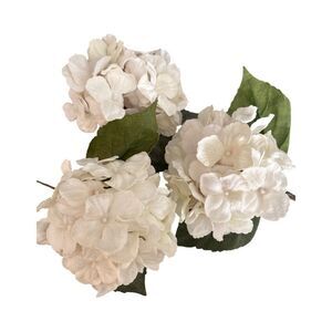 Elegant White Flowers.